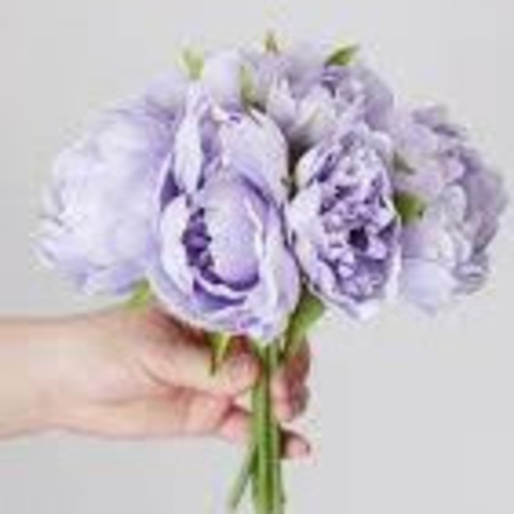 Meet your Posher, Smarty - Picture 1 of 1